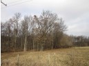 20 AC Gulch Ave, Wisconsin Dells, WI 53965