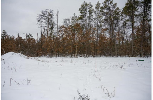 N8275 Woodland Tr, New Lisbon, WI 53950