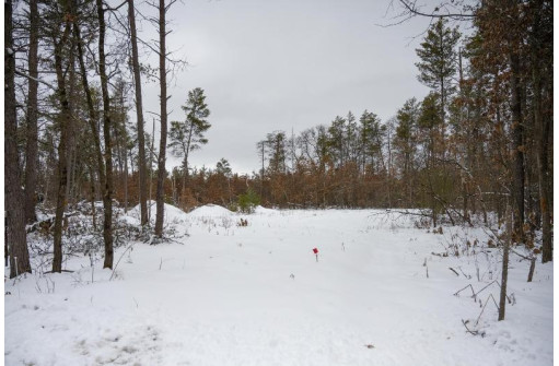 N8275 Woodland Tr, New Lisbon, WI 53950