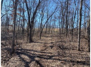 LOT 1 Deer Brook Ln Blanchardville, WI 53516