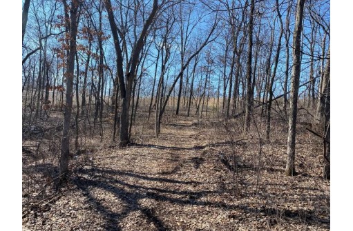 LOT 1 Deer Brook Ln, Blanchardville, WI 53516