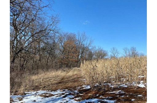 LOT 1 Deer Brook Ln, Blanchardville, WI 53516