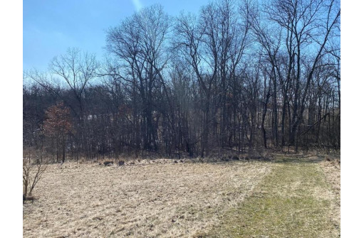 LOT 1 Deer Brook Ln, Blanchardville, WI 53516