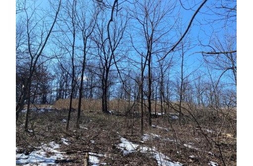 LOT 1 Deer Brook Ln, Blanchardville, WI 53516