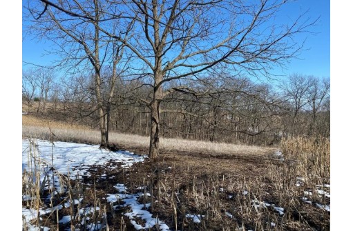 LOT 1 Deer Brook Ln, Blanchardville, WI 53516