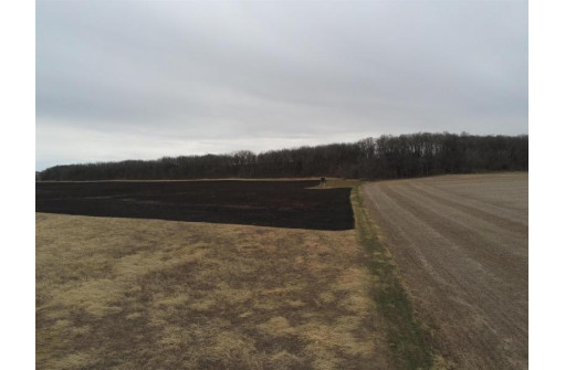 114.93 AC W Plymouth Church Rd, Janesville, WI 53548