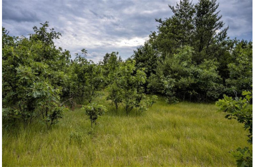 LOT 7 18th St, Necedah, WI 54646