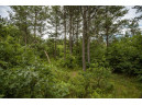 LOT 7 18th St, Necedah, WI 54646