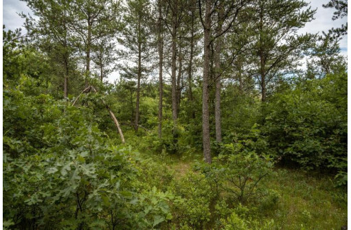 LOT 7 18th St, Necedah, WI 54646