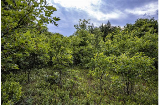 LOT 7 18th St, Necedah, WI 54646