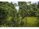 LOT 7 18th St, Necedah, WI 54646