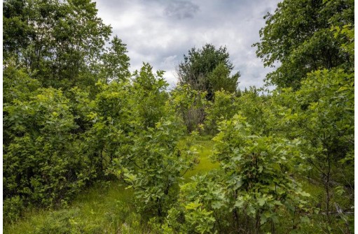 LOT 7 18th St, Necedah, WI 54646