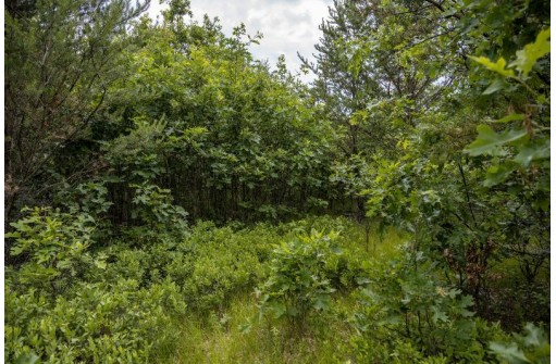 LOT 7 18th St, Necedah, WI 54646