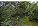 LOT 7 18th St, Necedah, WI 54646