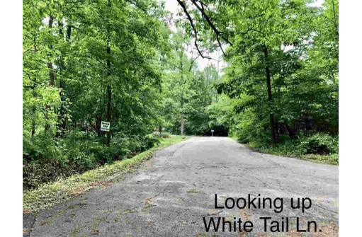 L30 White Tail Ln, Janesville, WI 53545