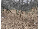 LOT 42 Hillside Dr, Wisconsin Dells, WI 53965