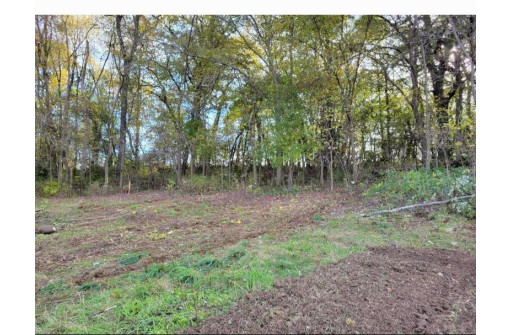 4.35 AC County Road W, Stoughton, WI 53589