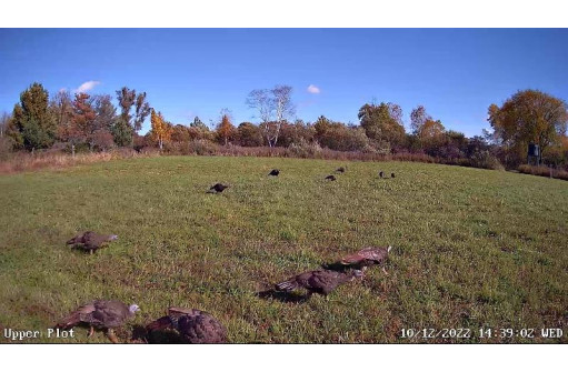 S2697 County Road V, Reedsburg, WI 53959