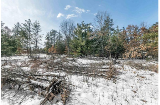 LOT 45 Sioux Ln, New Lisbon, WI 53950