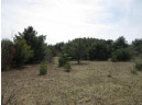 9.46AC Freedom Ln, Wisconsin Dells, WI 53965