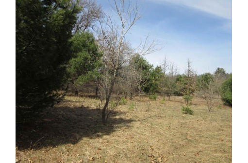 9.46AC Freedom Ln, Wisconsin Dells, WI 53965