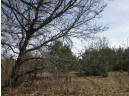 9.46AC Freedom Ln, Wisconsin Dells, WI 53965