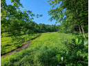 4.44 ACRES Trout Rd, Wisconsin Dells, WI 53965