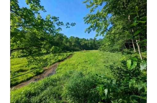 4.44 ACRES Trout Rd, Wisconsin Dells, WI 53965