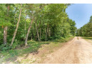 4.44 ACRES Trout Rd, Wisconsin Dells, WI 53965