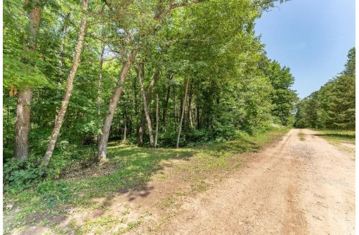 4.44 ACRES Trout Rd, Wisconsin Dells, WI 53965