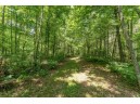 4.44 ACRES Trout Rd, Wisconsin Dells, WI 53965