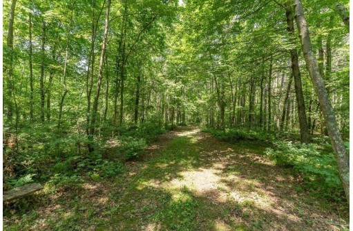 4.44 ACRES Trout Rd, Wisconsin Dells, WI 53965