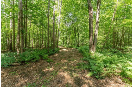 4.44 ACRES Trout Rd, Wisconsin Dells, WI 53965