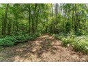 4.44 ACRES Trout Rd, Wisconsin Dells, WI 53965