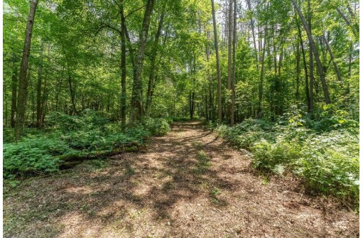 4.44 ACRES Trout Rd, Wisconsin Dells, WI 53965