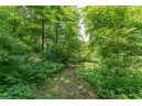 4.44 ACRES Trout Rd, Wisconsin Dells, WI 53965