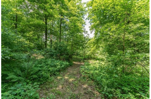 4.44 ACRES Trout Rd, Wisconsin Dells, WI 53965
