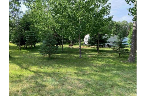 387 Milford Court, Nekoosa, WI 54457