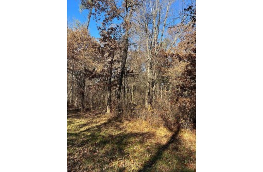 L18 18th Ln, Friendship, WI 53934