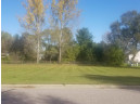 LOT Meadow St, Arena, WI 53503