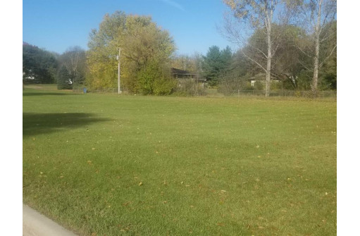 LOT Meadow St, Arena, WI 53503