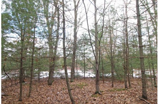 LOT18 Timber Trail, Spring Green, WI 53503