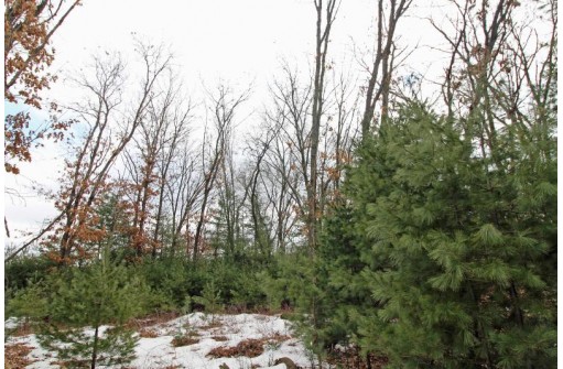 LOT18 Timber Trail, Spring Green, WI 53503