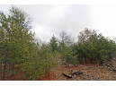 LOT18 Timber Trail, Spring Green, WI 53503