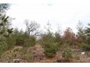 LOT18 Timber Trail, Spring Green, WI 53503