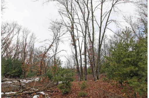 LOT18 Timber Trail, Spring Green, WI 53503