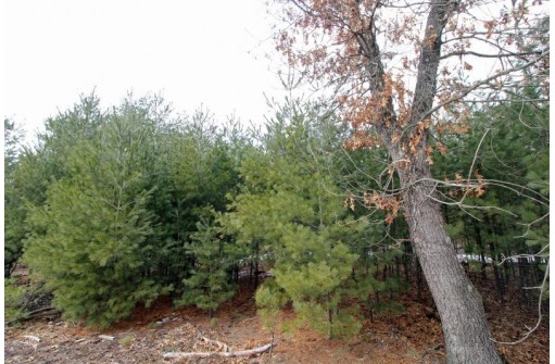 LOT18 Timber Trail, Spring Green, WI 53503