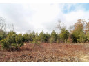 LOT18 Timber Trail, Spring Green, WI 53503