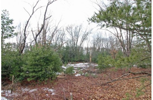 LOT18 Timber Trail, Spring Green, WI 53503