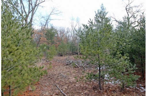 LOT18 Timber Trail, Spring Green, WI 53503